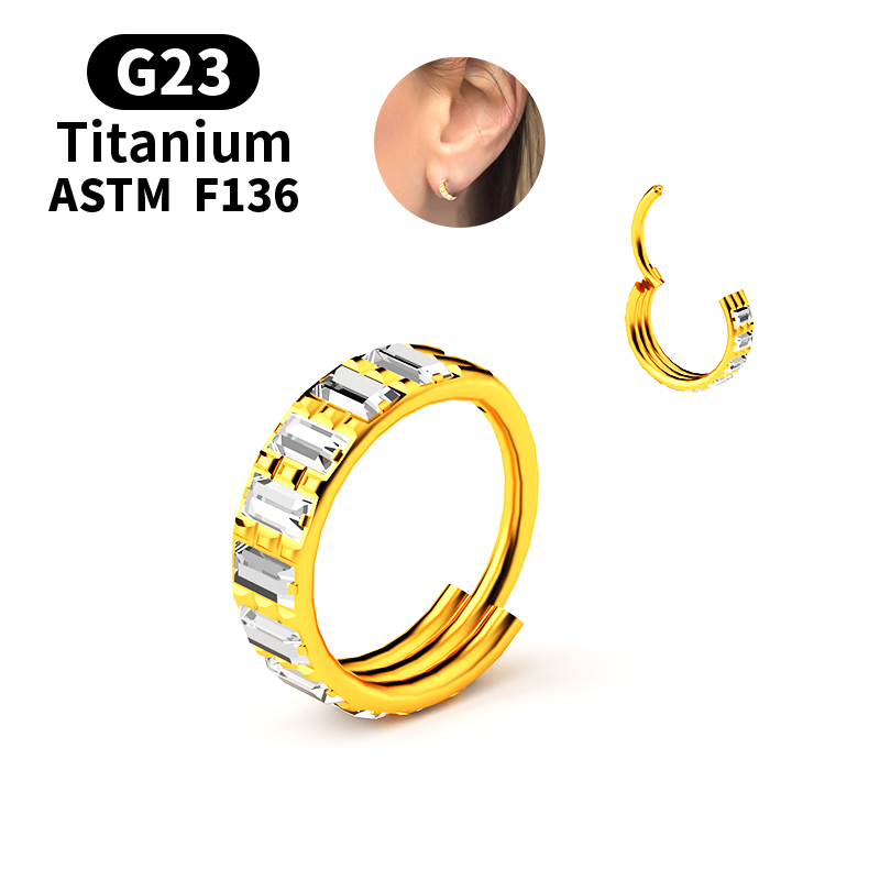 G23 Titanium Zircon Hinged Seg - Body Jewelry Nipple Rings recension och pris