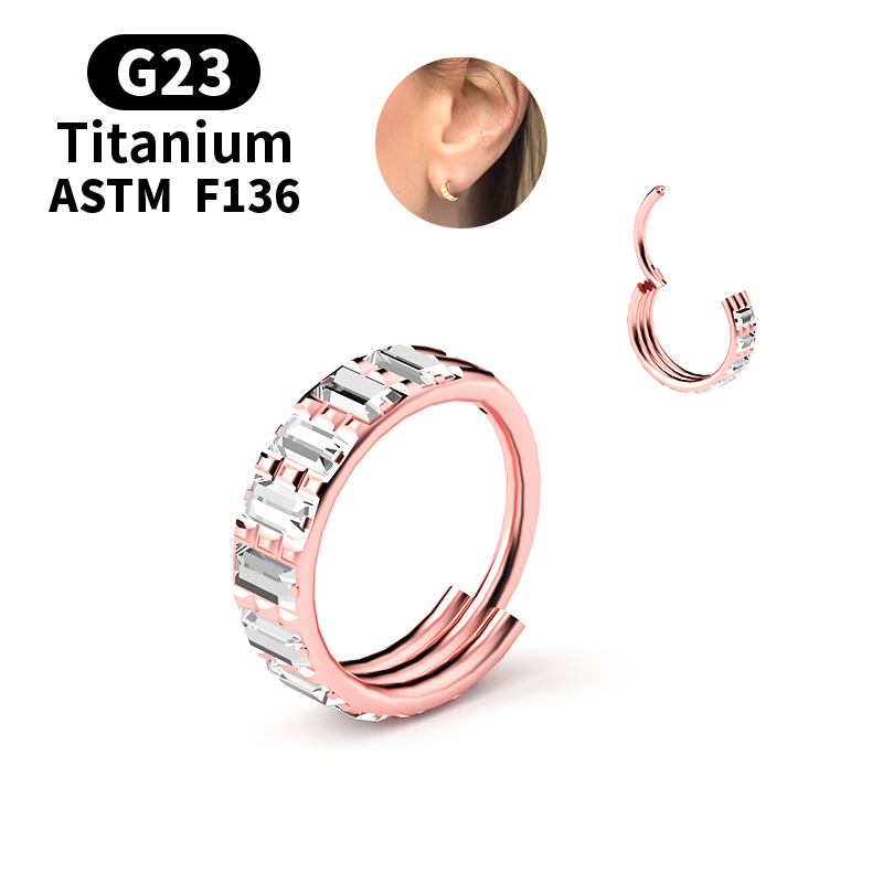 G23 Titanium Zircon Hinged Seg - Body Jewelry Nipple Rings recension och pris