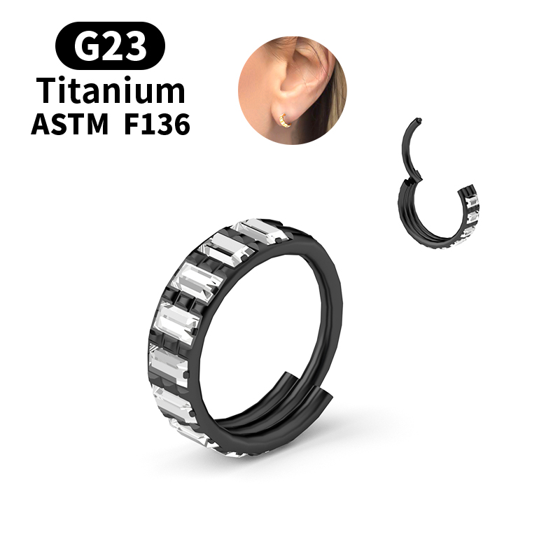 G23 Titanium Zircon Hinged Seg - Body Jewelry Nipple Rings recension och pris