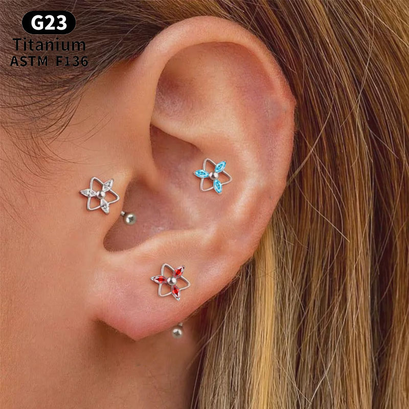 NORYAN ASTM F136 Titanium Trin - Rook Curved Barbell recension och pris