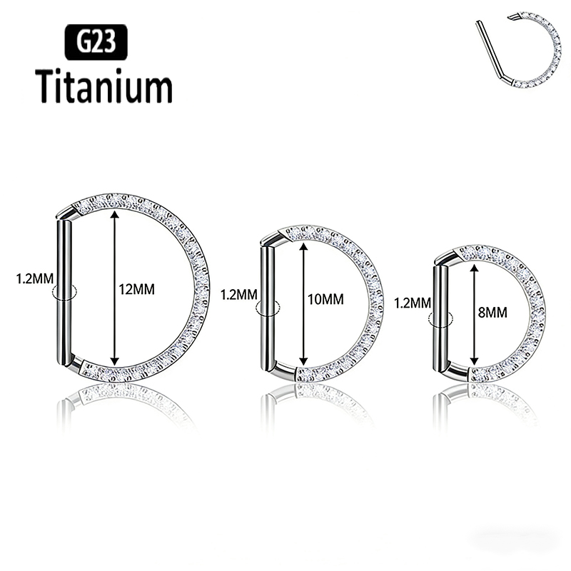 G23 Titanium Hinged Segment No - Rook Curved Barbell recension och pris