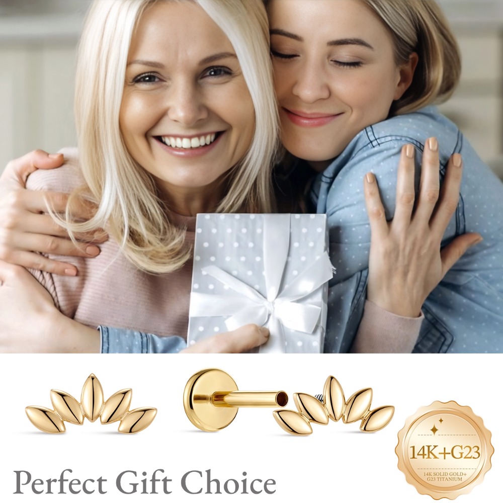 DIeSchein 14K Solid Gold Stud  - Body Jewelry Titanium recension och pris