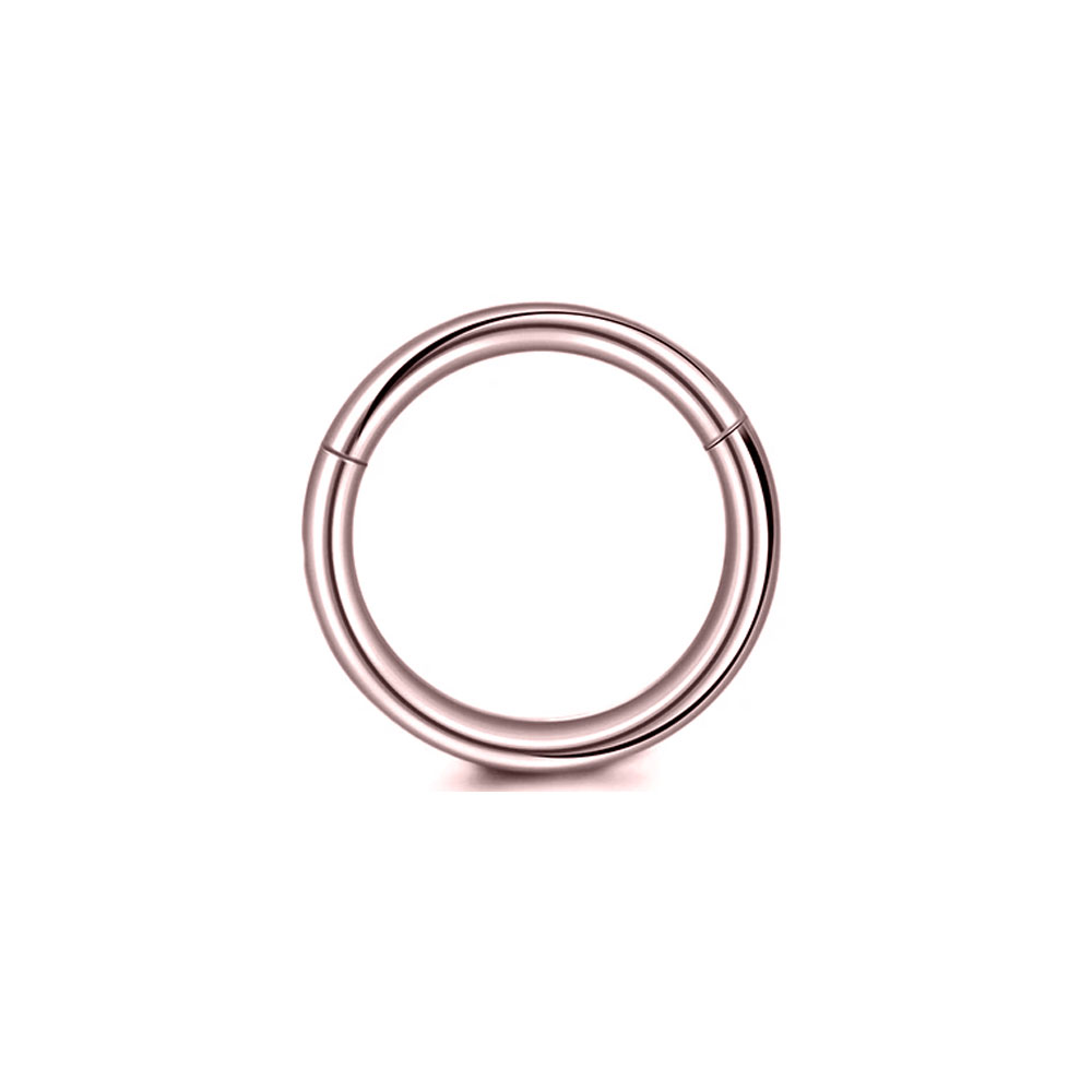 316L Surgical Steel Clicker Se - Conch Earring Hoop recension och pris