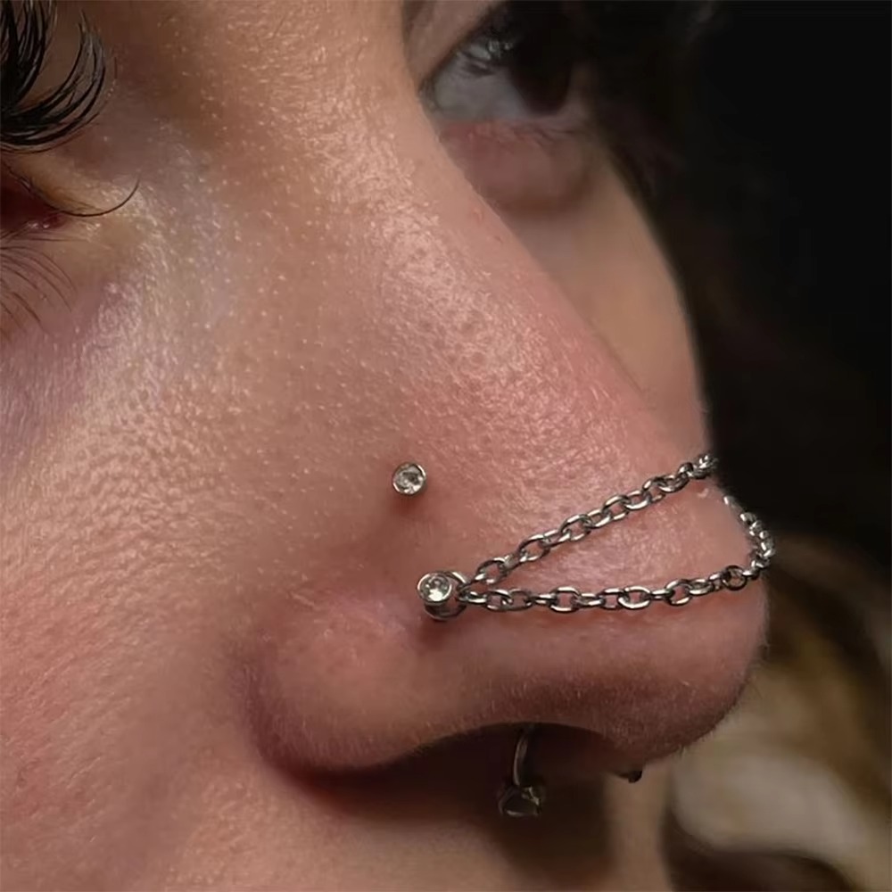 Fashion Titanium Nose Chain Do - Body Jewelry Labret recension och pris