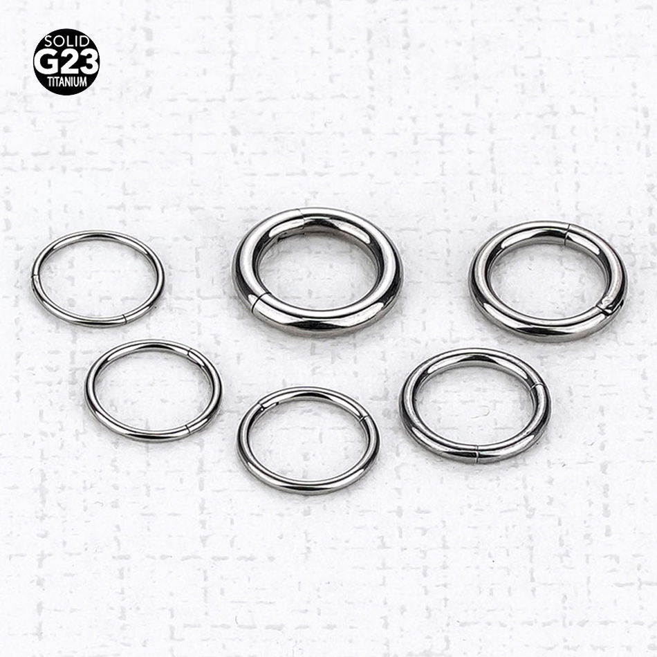 1PC G23 Titanium Hinged Segmen - Body Jewelry Nipple Rings recension och pris